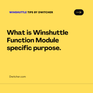 Read more about the article What is Winshuttle Function Module specific purpose.